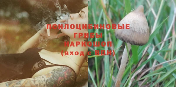 мескалин Нязепетровск
