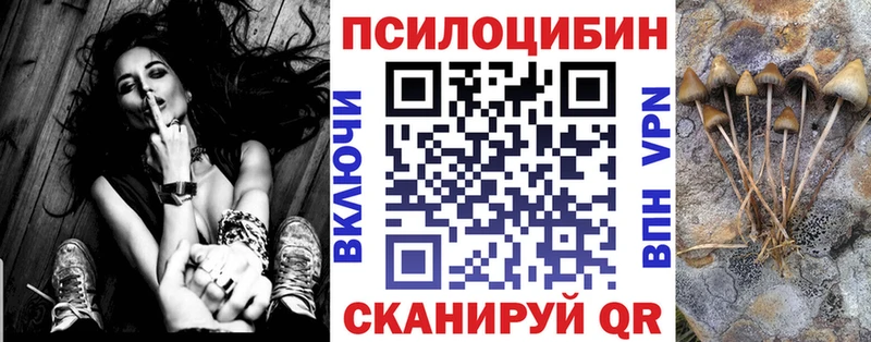 Псилоцибиновые грибы мухоморы  Болхов 