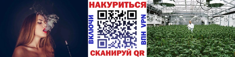 Бошки Шишки конопля  даркнет сайт  Болхов 